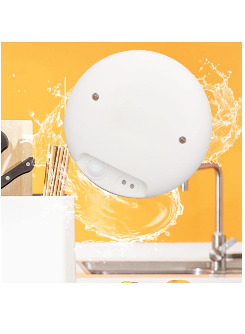 Excefore Fruit Vegetable Washing Machine, Fruit Cleaner Vegetable Cleaner Device Fruit Cleaner Vegetable Device Home Portable Negative Ion Vegetable Purifier USB Charging Food Cleaner - Image 4