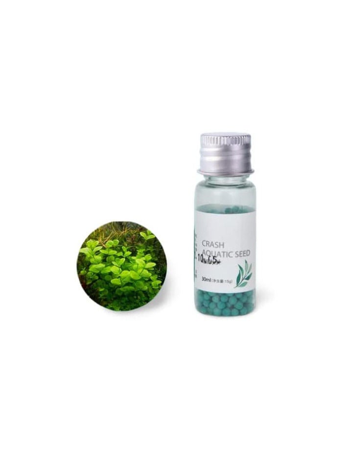 Generic Aquarium Plant Seeds 
