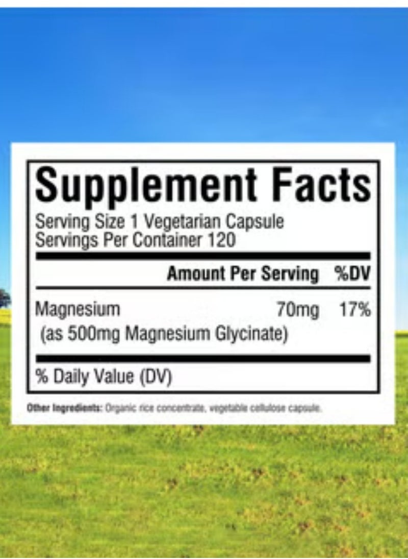 مغنيسيوم جلايسينات Innate Vitality Magnesium Glycinate 500mg: 70mg عنصر المغنيسيوم، عالي الامتصاص، غير معدّل وراثيًا، خالي من الغلوتين. يدعم صحة الأعصاب والعضلات والعظام والقلب. 120 كبسولة نباتية.  - Image 4