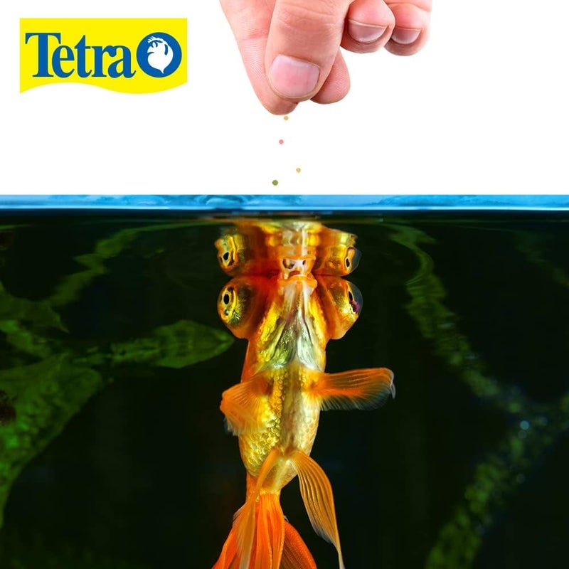 Tetra TetraFin Bite Sized Floating Variety Pellets for Goldfish, 1.87-Ounce - Image 2