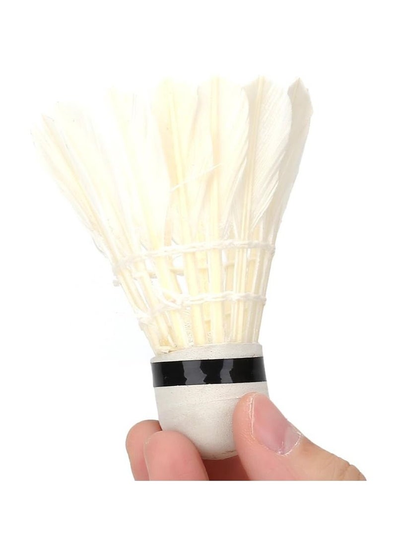 ميكسد مجموعة كرات الريشة لرياضة تنس الريشة من 12 قطعة - Image 3