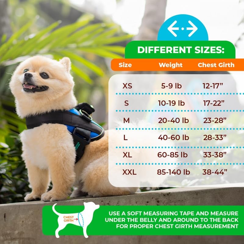 Joyride Harness 2.0 - The Original Side Ring No Pull Dog Harness - No Choke, Escape Proof, Reflective, 3 Leash Clips, Quick Fit Pet Vest - Easy Walks & Training - for Small, Medium & Large Dogs - Image 2