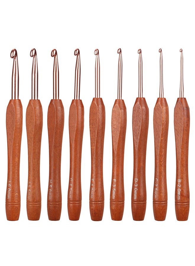 Ruidi Wooden Handle Handle Crochet Hook(9pcs) - Image 1
