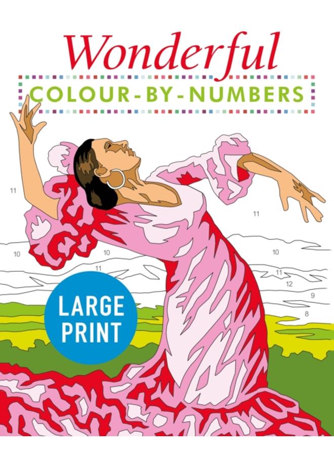 Wonderful Colour by Numbers Large Print : Easy to Read 