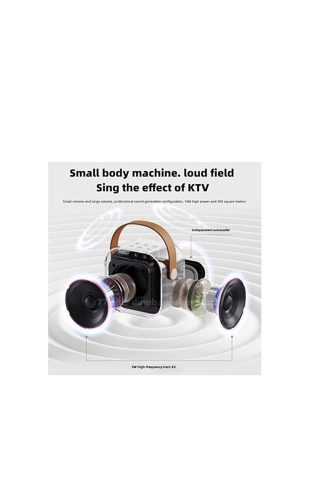 اسبيكر و مضخم صوت عالي الجوده يدعم بلوتوث و فلاشه و ميموري - مزود بمايك - Image 4