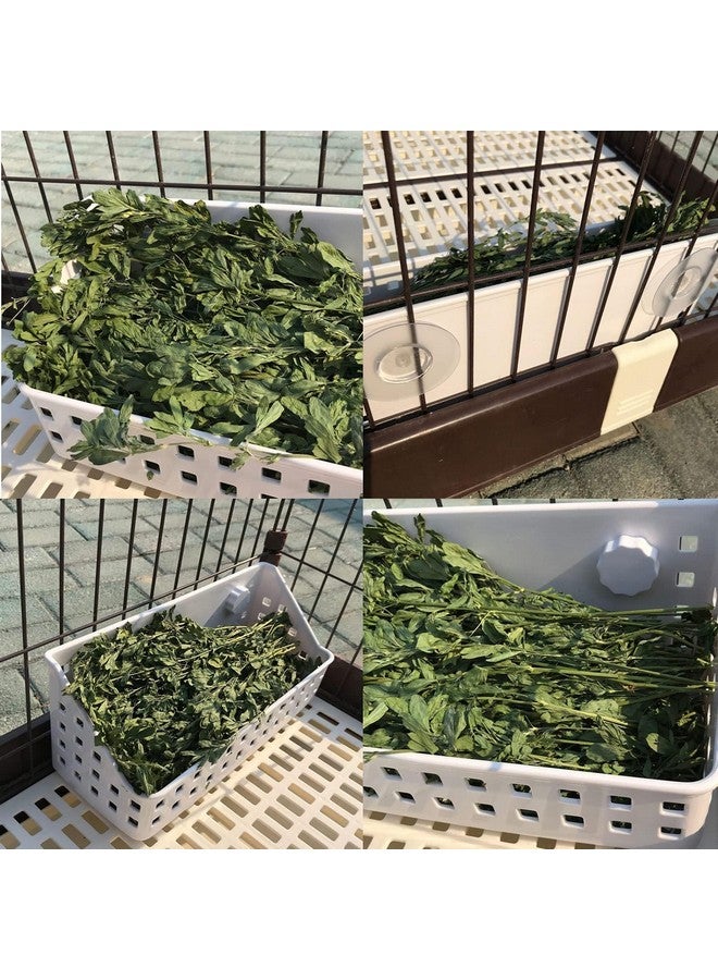 كاثسون وحدة تغذية تبن للأرانب من كاثسون، حامل تبن للأرانب، وحدة تغذية تبن لخنزير غينيا، حامل تبن بلاستيكي للأرانب، حيوانات صغيرة من نوع شنشيلة النمس (7.5 × 4.7 × 5.5 بوصة) - Image 4