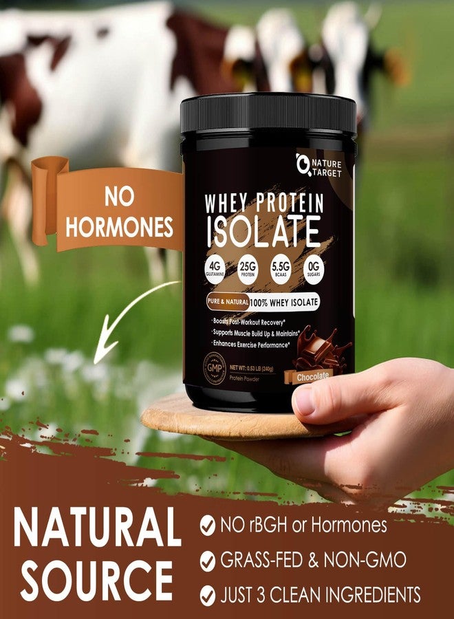 NATURE TARGET Chocolate Protein Powder - Whey Isolate Protein Powder, with 100% Grass-Fed Whey, 0g Sugar, 300g - Image 4