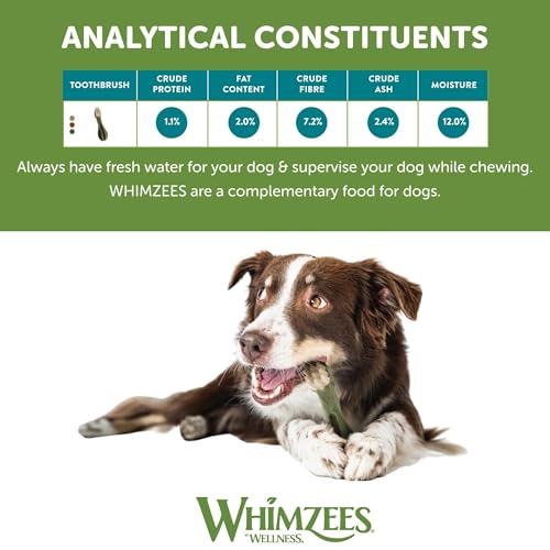 Whimzees WHZ304 6 Count Toothbrush Star Value Bag Doggie Dental Chews, Large - Image 3