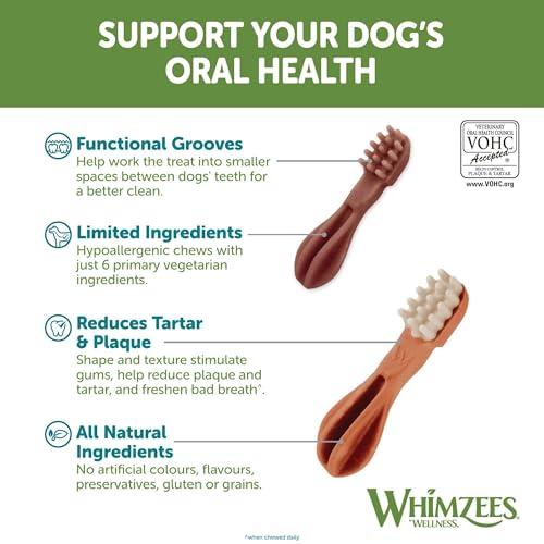 Whimzees WHZ304 6 Count Toothbrush Star Value Bag Doggie Dental Chews, Large - Image 5