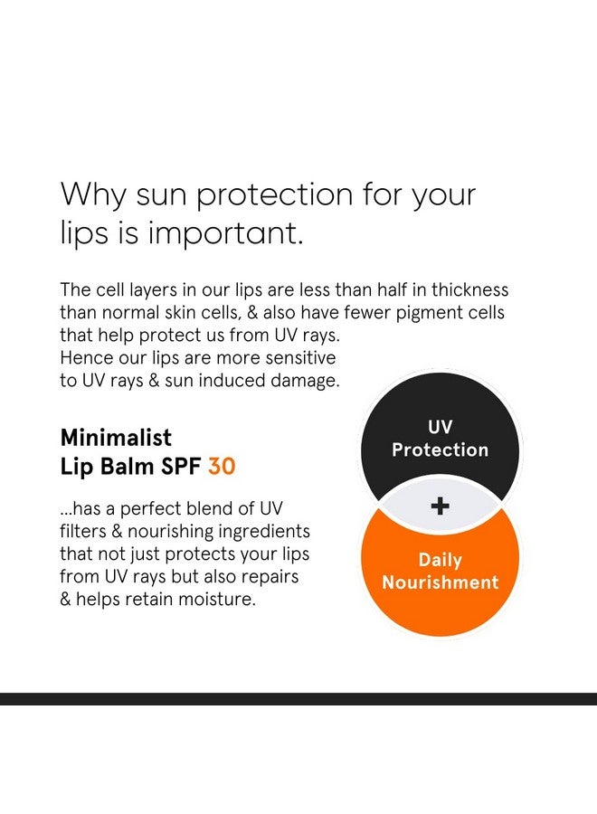 MINIMALIST بلسم شفاه مينيملست SPF 30 مع السيراميدات وحمض الهيالورونيك | حماية وترطيب الشفاه | للنساء والرجال | 8 جرام، أبيض فاتح - Image 3