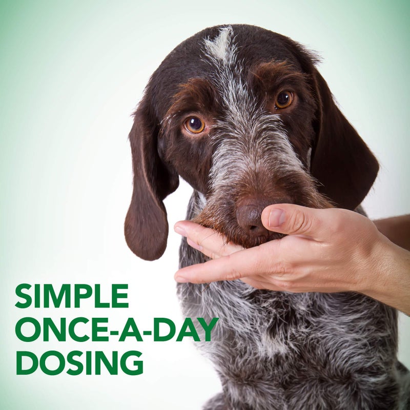 Vet's Best Probiotic Soft Chews Dog Supplement - Supports Dog Digestive Health - Promotes a Healthy Gut - 30 day supply - Image 4