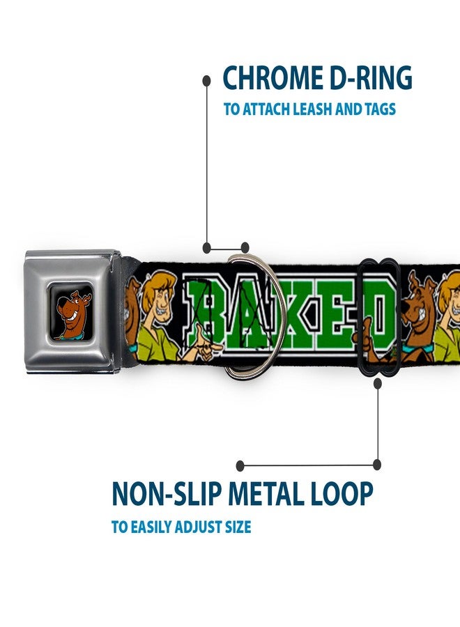 Buckle Down Buckle-Down Seatbelt Buckle Dog Collar - Scooby Doo & Shaggy Pose/BAKED Black/Green - 1" Wide - Fits 15-26" Neck - Large - Image 5