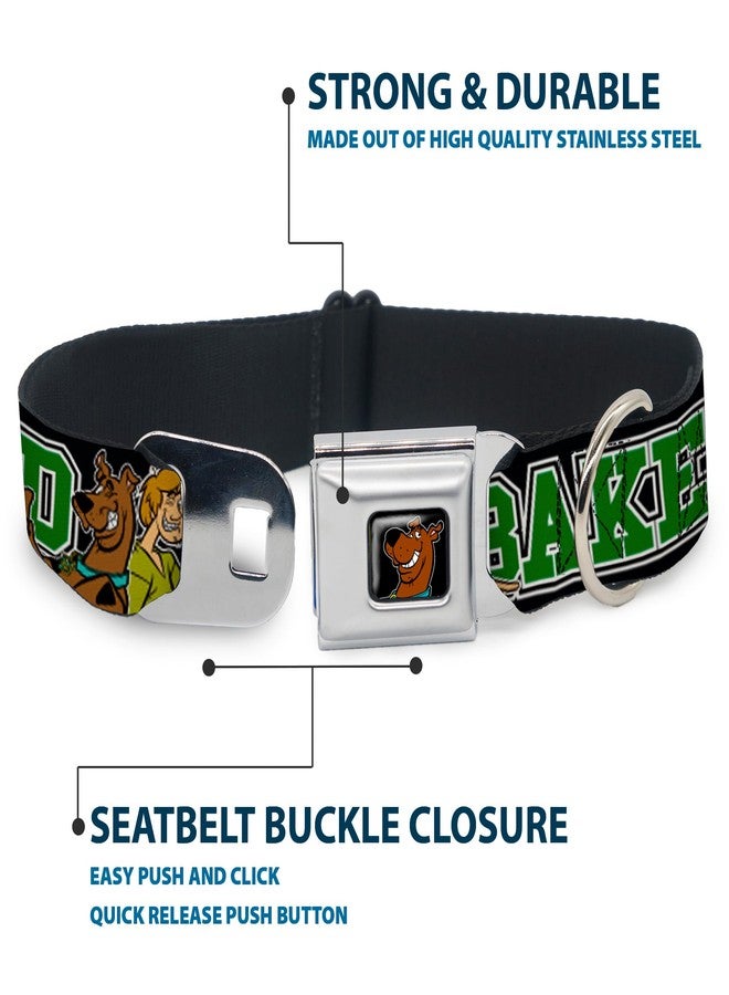 Buckle Down Buckle-Down Seatbelt Buckle Dog Collar - Scooby Doo & Shaggy Pose/BAKED Black/Green - 1" Wide - Fits 15-26" Neck - Large - Image 4