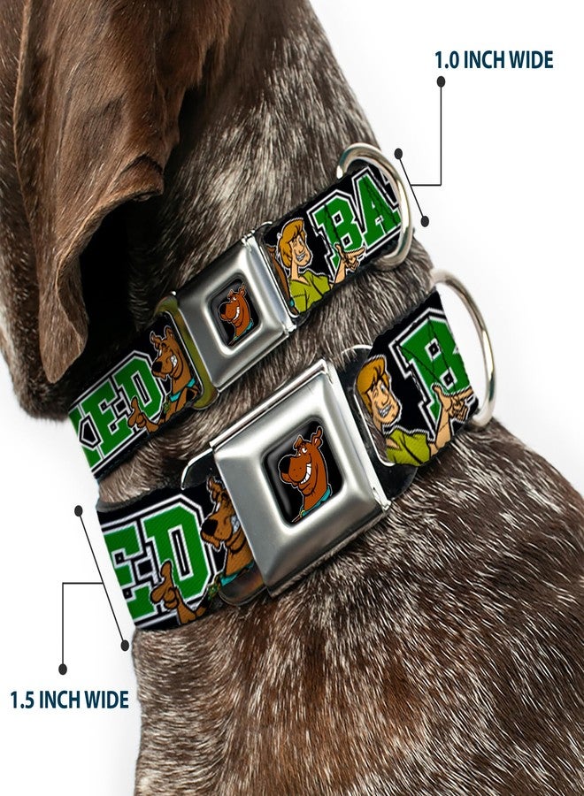 Buckle Down Buckle-Down Seatbelt Buckle Dog Collar - Scooby Doo & Shaggy Pose/BAKED Black/Green - 1" Wide - Fits 15-26" Neck - Large - Image 2