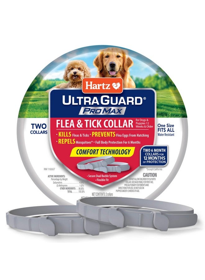 Hartz UltraGuard ProMax Flea & Tick Collar for Dogs I 12 Months Protection I Soft & Comfortable Flea & Tick Prevention I 2 Pack,Gray - Image 1