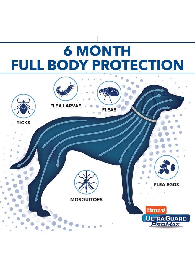 Hartz UltraGuard ProMax Flea & Tick Collar for Dogs I 12 Months Protection I Soft & Comfortable Flea & Tick Prevention I 2 Pack,Gray - Image 3