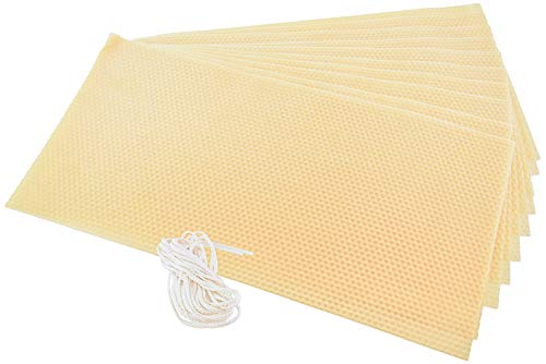 Stakich Candle Making Pure Beeswax Kit 10 Full Size Sheets 8 18 Inch x 16 34 Inch Comes with Wicking and Instructions