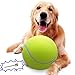 Banfeng Large Dog Tennis Ball95 Giant Doy Sport Ball ToyPet Birthday Gifts Interactive Dog Toys for Small Medium Large Dog - Image 3
