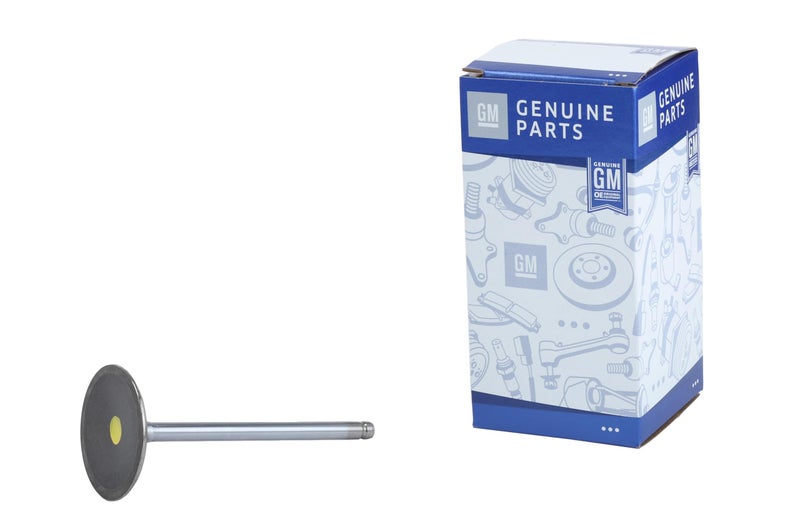 GM Genuine Parts 12605223 LSA Intake Valve - Image 3