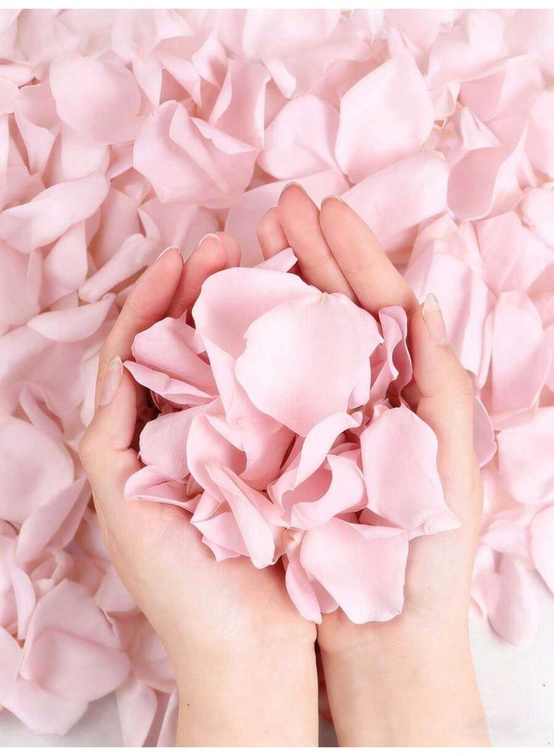 2000pcs Pink Silk Rose Petals for Romantic Special Party Decorations, Valentine's Night, Wedding, Birthday Party - Image 5