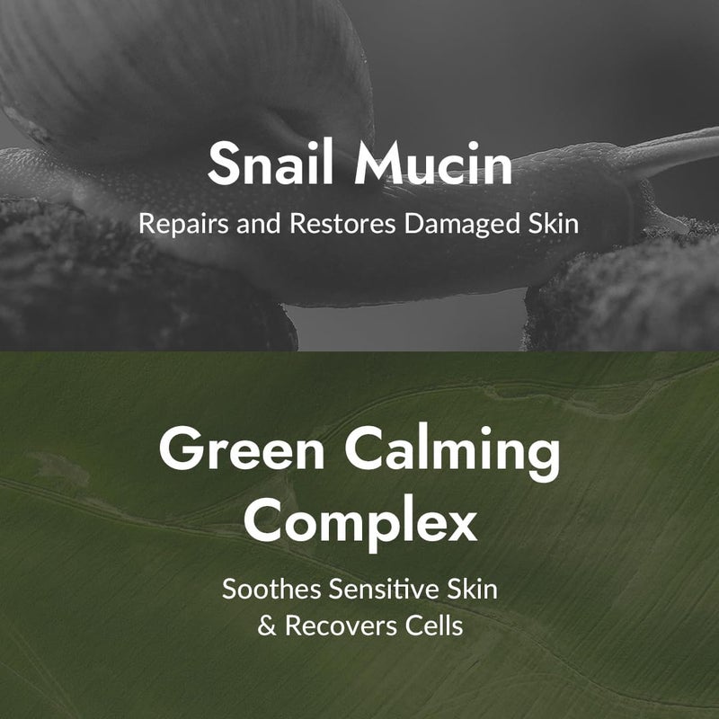 MIZON All-in-One Snail Repair Cream Korean Face Moisturizer with Snail Mucin & 12 Natural Extracts Hydrating & Nourishing Cream for Fine Lines, Wrinkles & Blemish Care Travel Size(1.18 Fl Oz) - Image 3