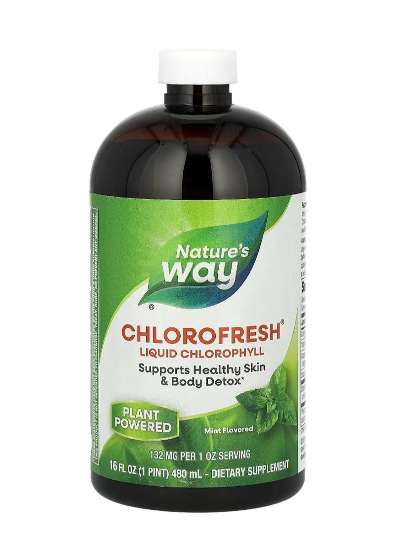 Nature's Way Chlorofresh Liquid Chlorophyll Peppermint 16 Fl Oz 480 Ml 132 Mg Per 2 Tablespoons - Image 1