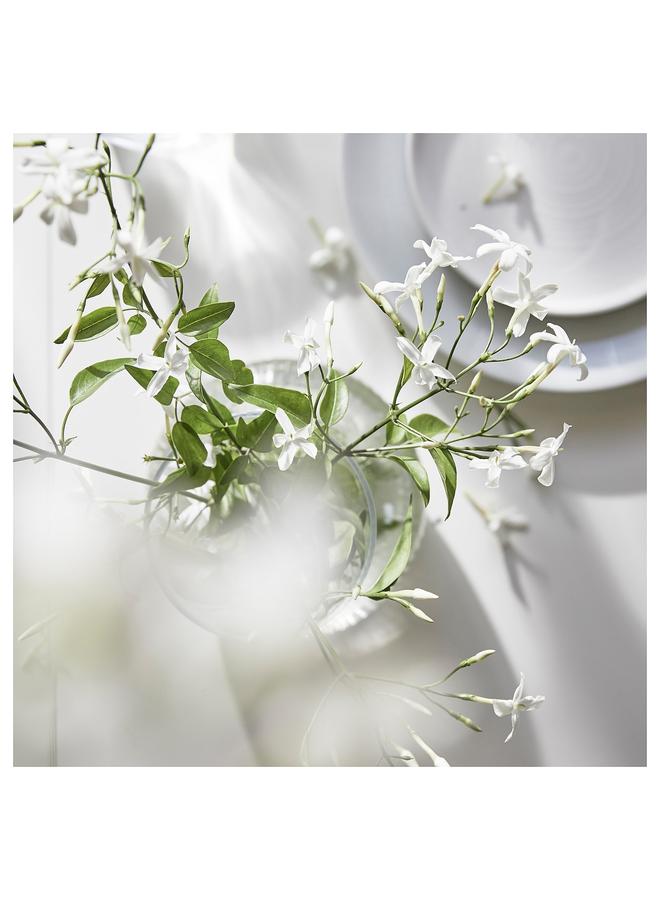 Zaboon Scented Tealight, Jasmine/Pink, 3.5 Hr - Image 2