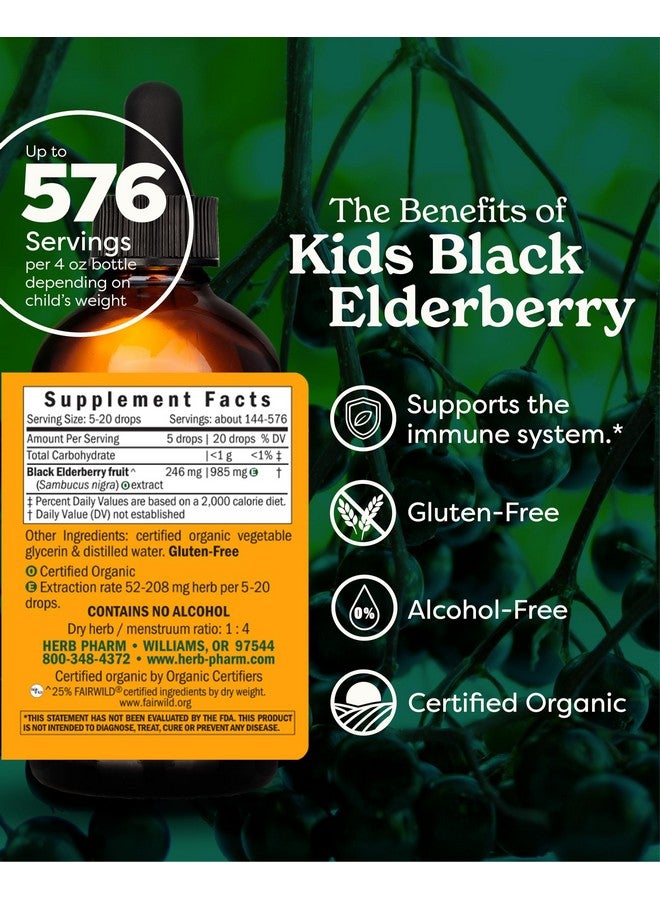 Herb Pharm Kids Certified-Organic Alcohol-Free Black Elderberry Glycerite Liquid Extract, 4 Ounce - Image 2