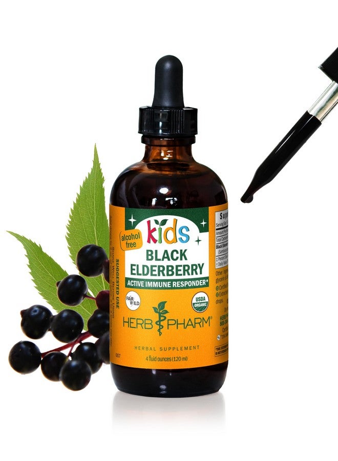 Herb Pharm Kids Certified-Organic Alcohol-Free Black Elderberry Glycerite Liquid Extract, 4 Ounce - Image 1