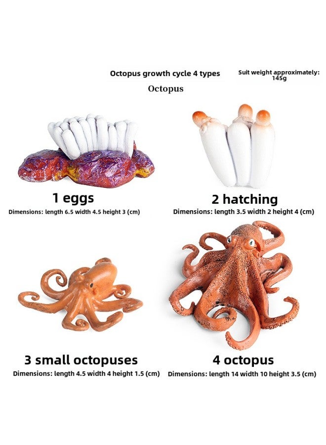 Generic Miniature Realistic Animal Models Growth Cycle Toys Including ...