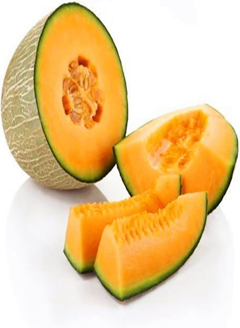 GGOOT 50Pcs Small Bag of Cantaloupe Seeds Non-GMO Natural Growing Fruits Plant Seedlings for Yard Seeds 1size - Image 5