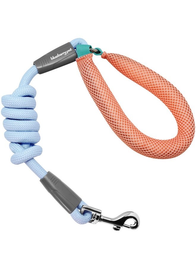 Blueberry Pet Blueberry Pet Dog Leash - Vibrant Mesh Puffer Handle, Dog Accessories Girl, Puppy Essentials, Heavy Duty Dog Leashes for Large Dogs, Girl Dog, 4ft Durable Rope, Light Blue/Coral  - Image 2
