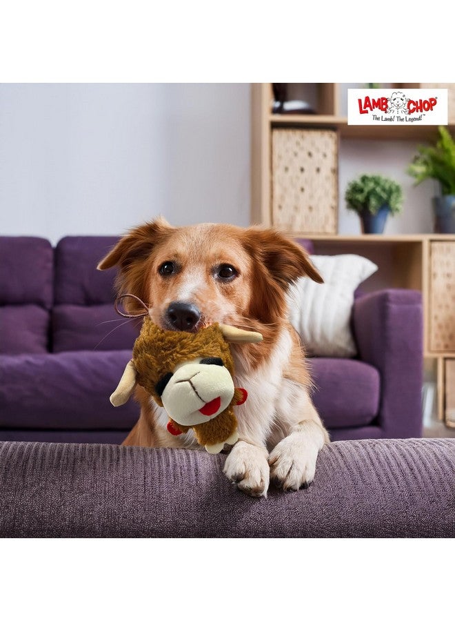 Multipet Multipet Knobby Noggins Dog Toy Lamb Chop | Lambchop Knobby Noggins Knobby | Noggins Squeaky Dog Toy Plush | 5" | Officially Licensed (Brown)  - Image 5