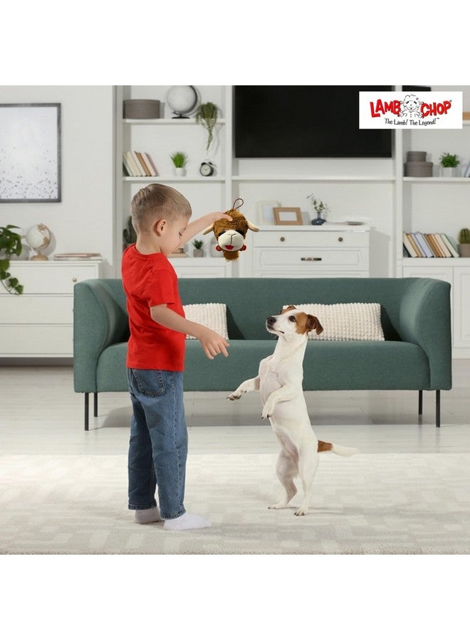 Multipet Multipet Knobby Noggins Dog Toy Lamb Chop | Lambchop Knobby Noggins Knobby | Noggins Squeaky Dog Toy Plush | 5" | Officially Licensed (Brown)  - Image 4