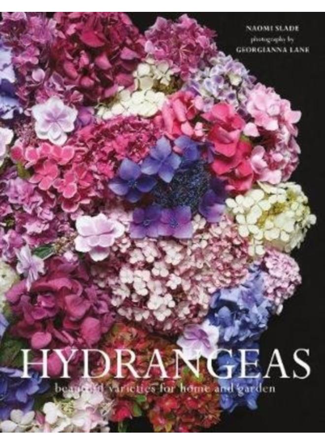 Hydrangeas : Beautiful Varieties for Home and Garden 