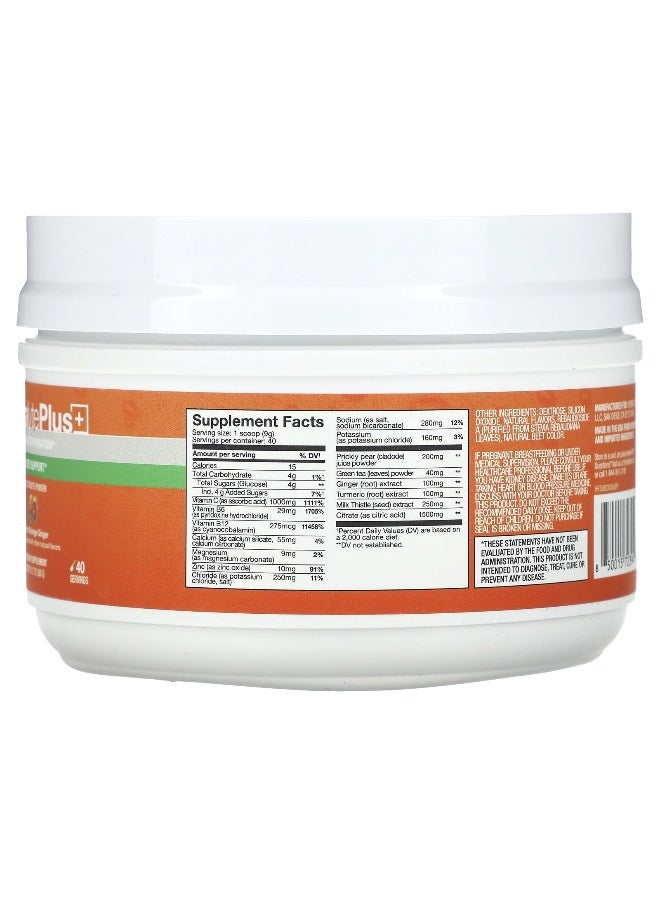 Hydralyte Hydralyte, Hydralyte Plus+, Advanced Hydration, Blood Orange Ginger, 12.7 oz (360 g)  - Image 2