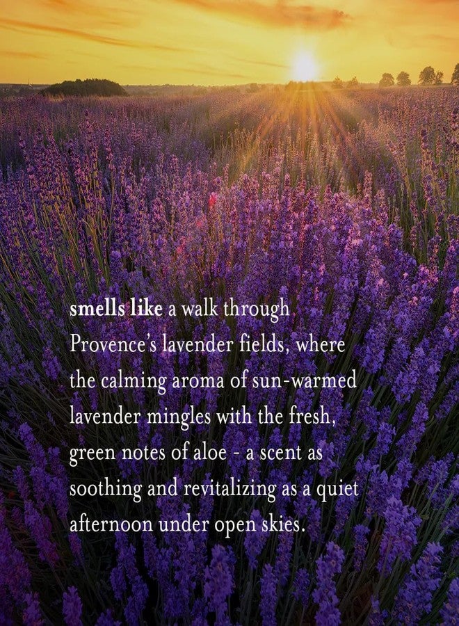 A La Maison de Provence Natural Aluminum-Free Deodorant Traditional French Milled Formula | Long Lasting Safe and Effective | Free of SLS, Parabens and Sulfates (3 x 2.4 oz, Lavender Aloe) - Image 3