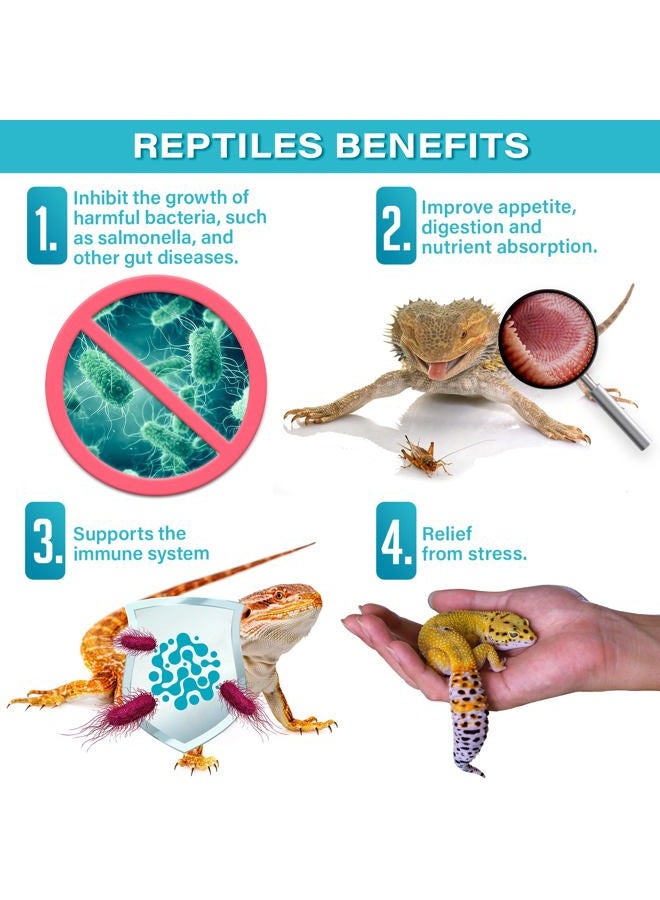 Gargeer 2oz Reptile Probiotics - Image 4