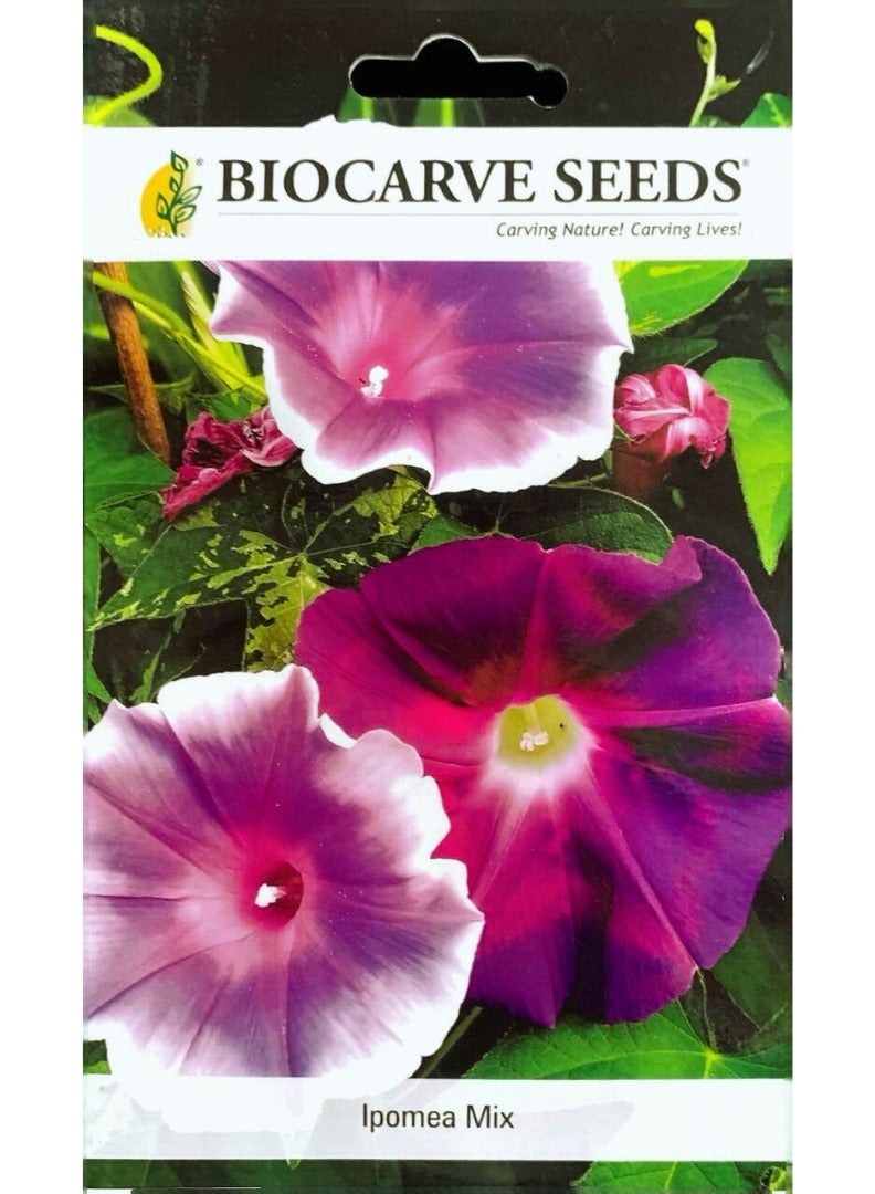 BIOCARVE SEEDS BIOCARVE Ipomea Mix Seeds - Image 1