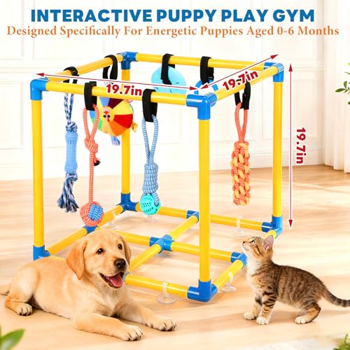 WLLEYAY Puppy Play Gym for Small Dogs with 10 Hanging Toys, Removable Indoor Jungle Gym, PVC Frame with Adjustable Bungee Straps, Interactive Dog Toys Tug Toys for Dogs Rope Toy to Keep Them Busy - Image 4