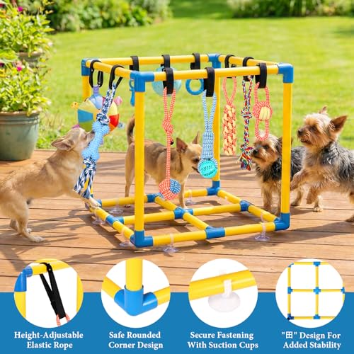 WLLEYAY Puppy Play Gym for Small Dogs with 10 Hanging Toys, Removable Indoor Jungle Gym, PVC Frame with Adjustable Bungee Straps, Interactive Dog Toys Tug Toys for Dogs Rope Toy to Keep Them Busy - Image 3