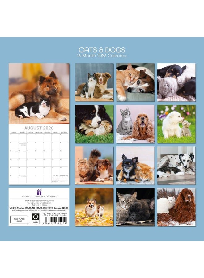 The Gifted Stationery The Gifted Stationary 2026 Square Wall Calendar, Cats & Dogs, 16-Month Animals Theme Hanging Calendar with 180 Reminder Stickers, Month Planner for Home, or Creative Spaces, 12x12 In - Image 4