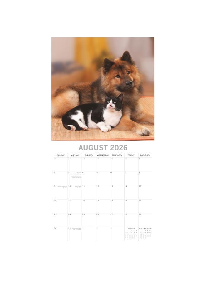 The Gifted Stationery The Gifted Stationary 2026 Square Wall Calendar, Cats & Dogs, 16-Month Animals Theme Hanging Calendar with 180 Reminder Stickers, Month Planner for Home, or Creative Spaces, 12x12 In - Image 3