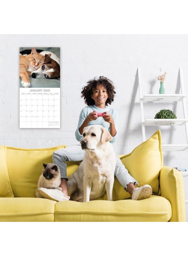 The Gifted Stationery The Gifted Stationary 2026 Square Wall Calendar, Cats & Dogs, 16-Month Animals Theme Hanging Calendar with 180 Reminder Stickers, Month Planner for Home, or Creative Spaces, 12x12 In - Image 2