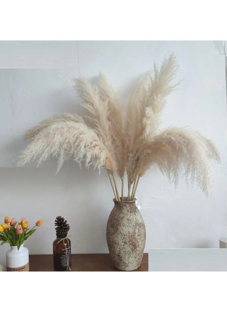 bilutih (Natural Feather Bouquet) Natural dried white grass bouquet from flower arrangements for home room, office and party decorations 