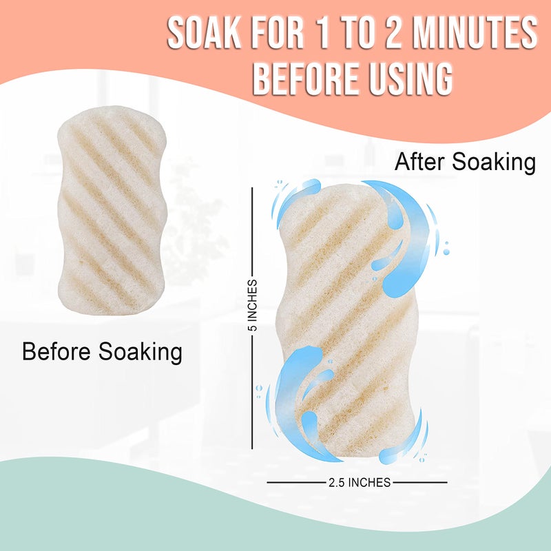 pureSOL Pure SOL. Konjac Exfoliating Bath Sponge - Original Exfoliator Sponge – Konjac Sponge for Sensitive Skin - Deep Cleansing, Clean Pores, Remove Impurities - 100% Natural and Good for All Skin Types - Image 2