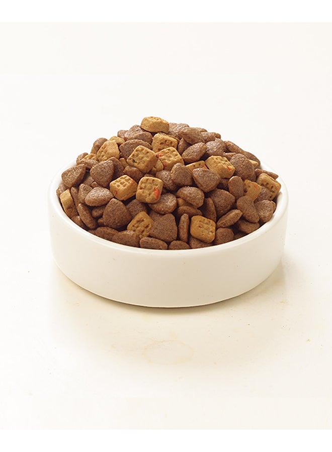 WANPY Grain Free Complete Food For Dog – Salmon Recipe 12Kg - Image 1