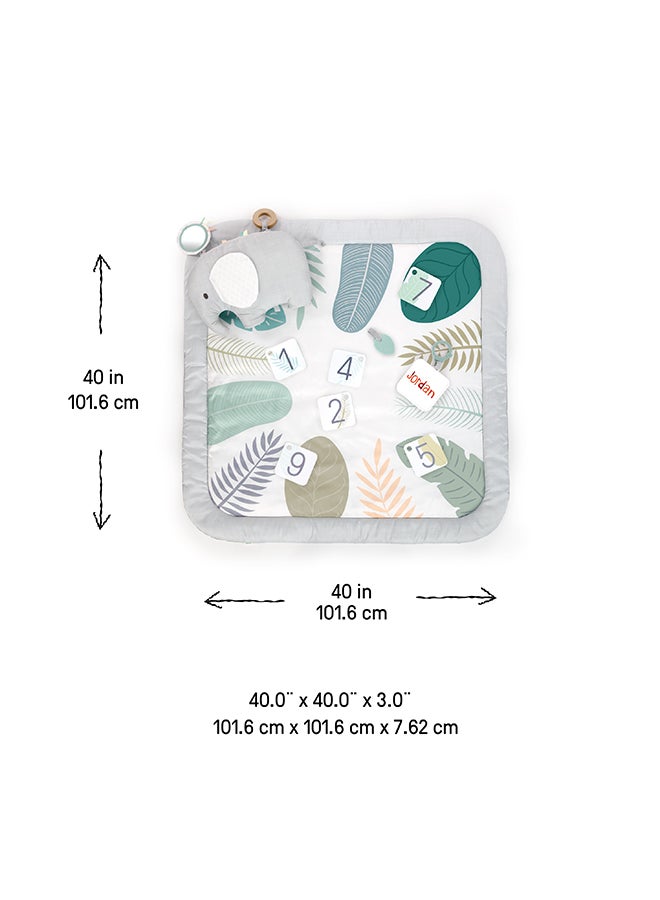 ingenuity حصيرة نشاط وقت البطن ونادي اللعب سبراوت سبوت للأطفال - Image 5