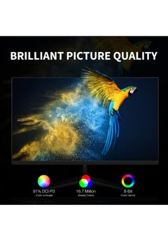 FlashHawk 23.8" FHD Computer Monitor 100Hz,1920*1080 IPS Screen,1ms Response Time, 99%sRGB,VGA HDMI Ports, 75*75MM VESA Compatible  - Image 4
