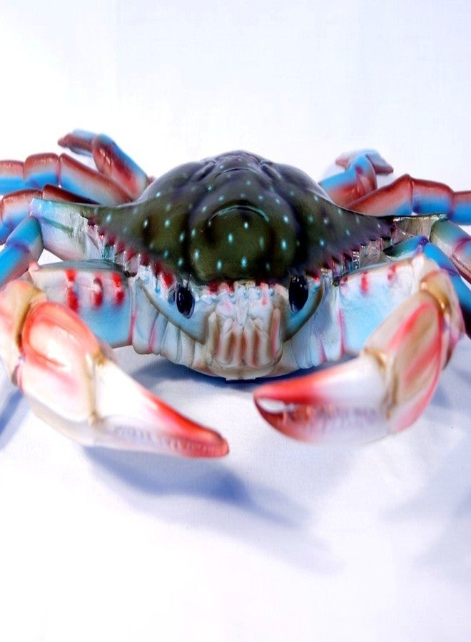 ال اكس ديكور جداري لغرفة الأطفال من LX Maryland، مقاس 10 بوصات، على شكل سلطعون أزرق، مناسب لغرفة الأطفال - Image 3